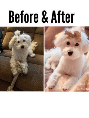 Starr before/after