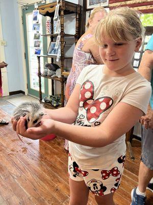 We got to hold rescued baby opossums!