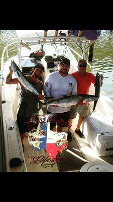 Kingfish caught out of Surfside Texas.