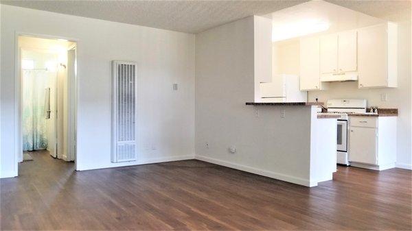 Large Living Room with Wood-Inspired Flooring