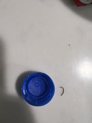 A sharp piece of metal found in an order of green beans (water bottle can for size reference)