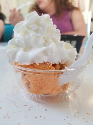 The Snap-o-Lantern, pumpkin pie ice cream with ground cinnamon and whipped cream on top!