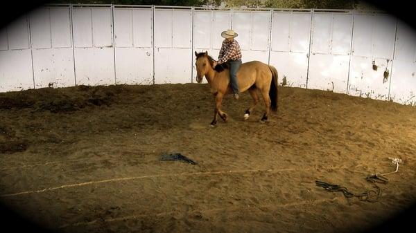 Robinson Horsemanship