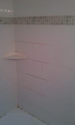 Before picture of a neglected bath room