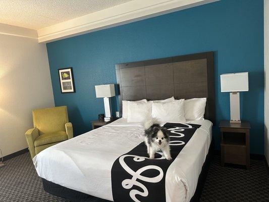 Cozy bed and pet friendly rooms!