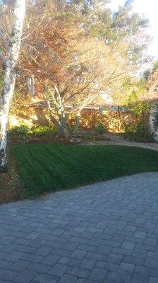 Finished backyard sod and woodchip.