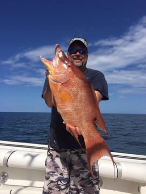 Hogfish