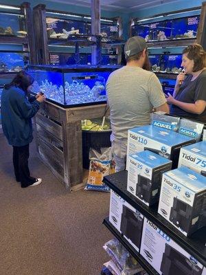 Reef aquariums