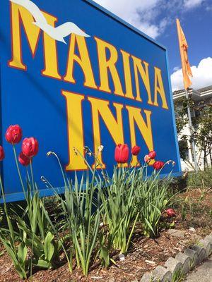 Entrance sign & tulips*