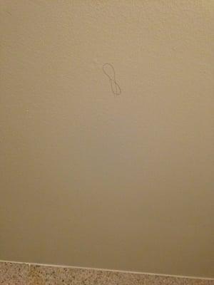 Hair on ceiling of bathroom.