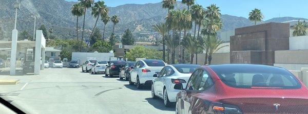 Line of cars waiting. Drivers deceived by false availability.