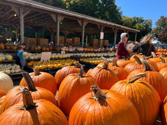 Garwood Orchards