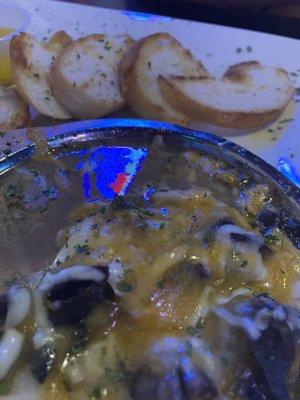 Escargot-absolutely amazing