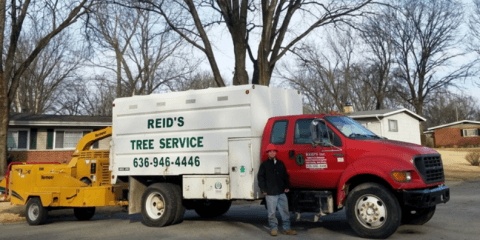 Reid's Tree Service