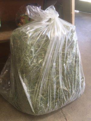 One alfalfa bag (10 lb)