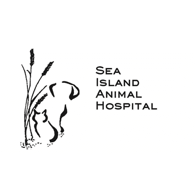 Sea Island Animal Hospital