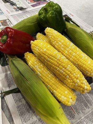 Veggie Sale White & Yellow Corn On The Cob with Red & Green Peppers 7-1-2024