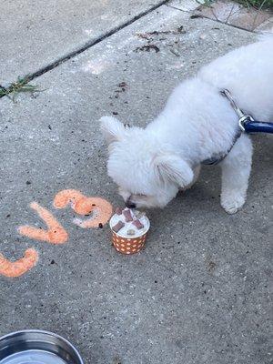 Bentley enjoying a treat from Brian.