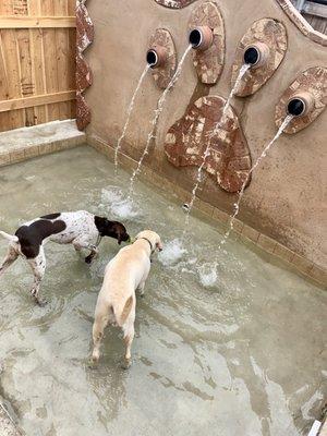 water pups!