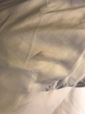 Stains on bedding