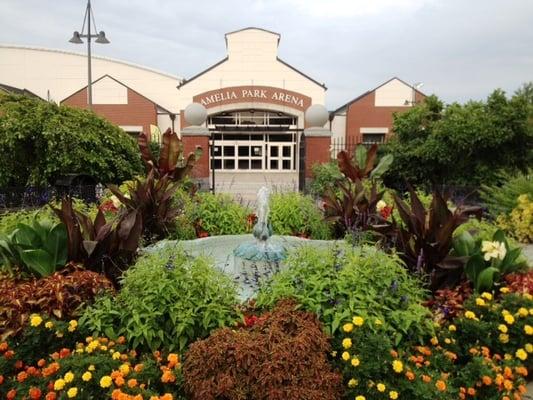 Amelia Park Ice Arena