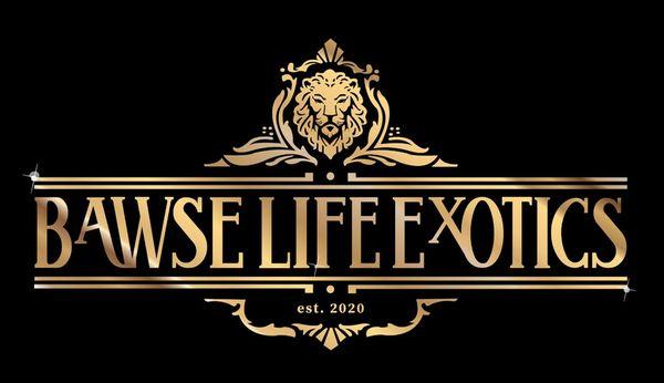 Bawse Life Exotics