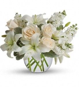 Isle of White arrangement on Web Page