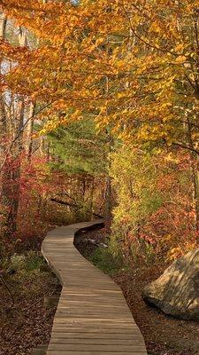 Little Pond boardwalk