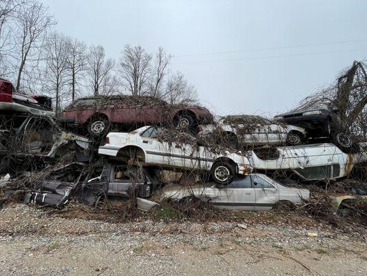 School Bus Graveyard