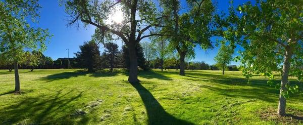 Beautiful Morning in the Park