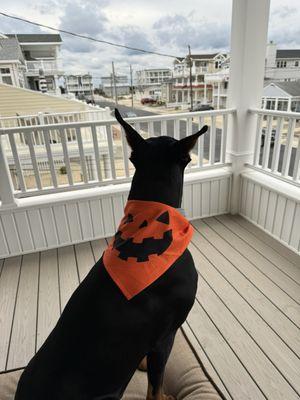 Kaiser all ready for Halloween!