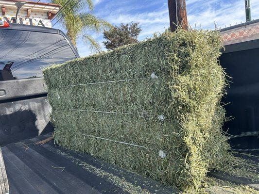 A beautiful bale of alfalfa diamond