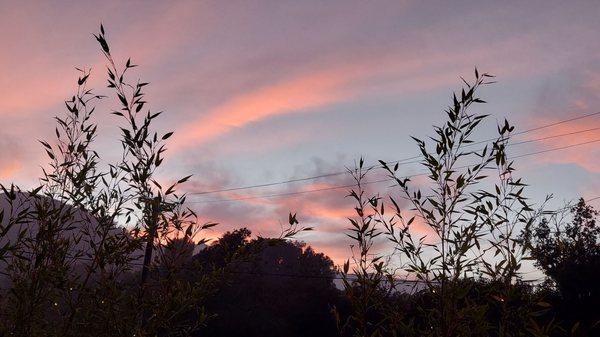 Sunset from patio