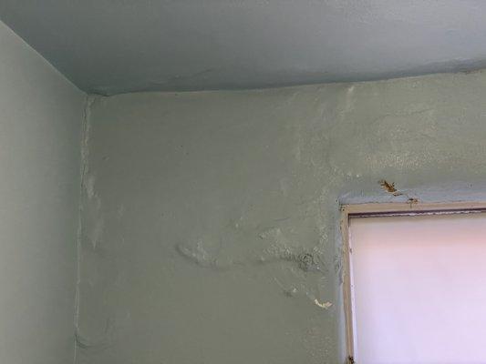 Untreated water damage mold.