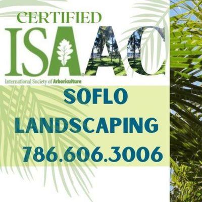 SoFlo Landscape & Design