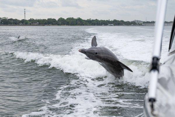 Hooked for Life Charters