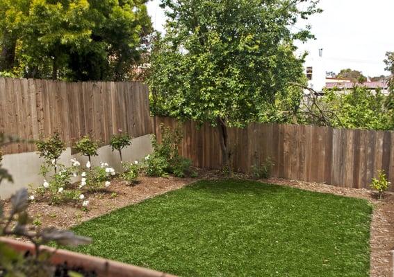 Our large sunny backyard is the site of daily chicken feedings and egg gathering, tomato watering and harvesting (in the summer) and more!