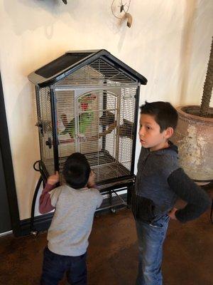 Front desk area is so clean, spacious and everyone including the parrot is friendly.