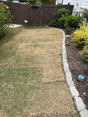 Dead lawn installed