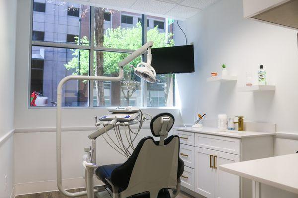 Hygiene/Dental Chair