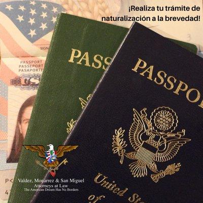 Immigration Attorneys