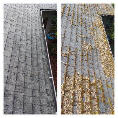 Roof and gutter cleaning