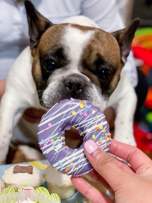 Donut for dogs!