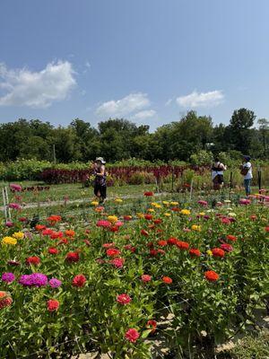 Wilson's Orchard