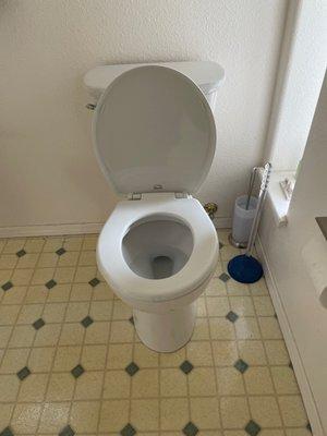 A new toilet