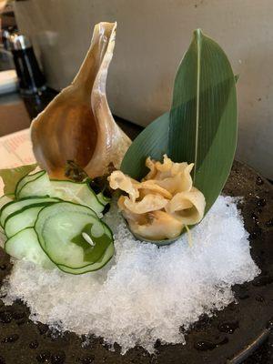 Fresh Conch available at Sushi Grill 9th Anniversary. October 20th 2024