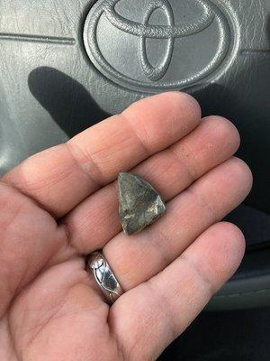 The stone that Big E Tire found that caused my flat-and repaired it for FREE!