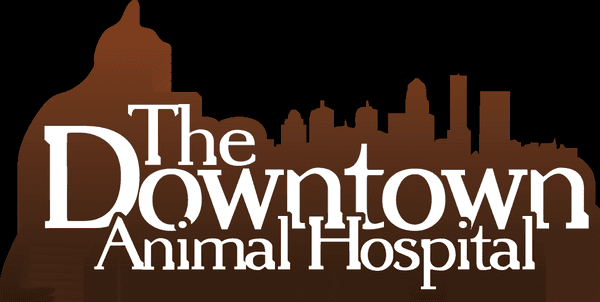 Downtown Animal Hospital