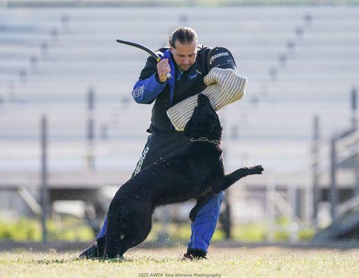 Camilla and Dirty 2022 AWDF National IGP Championship