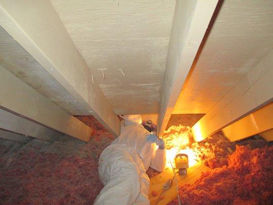 Attic inspection